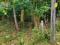 Plot near Milma , head office Malampuzha, Palakkad